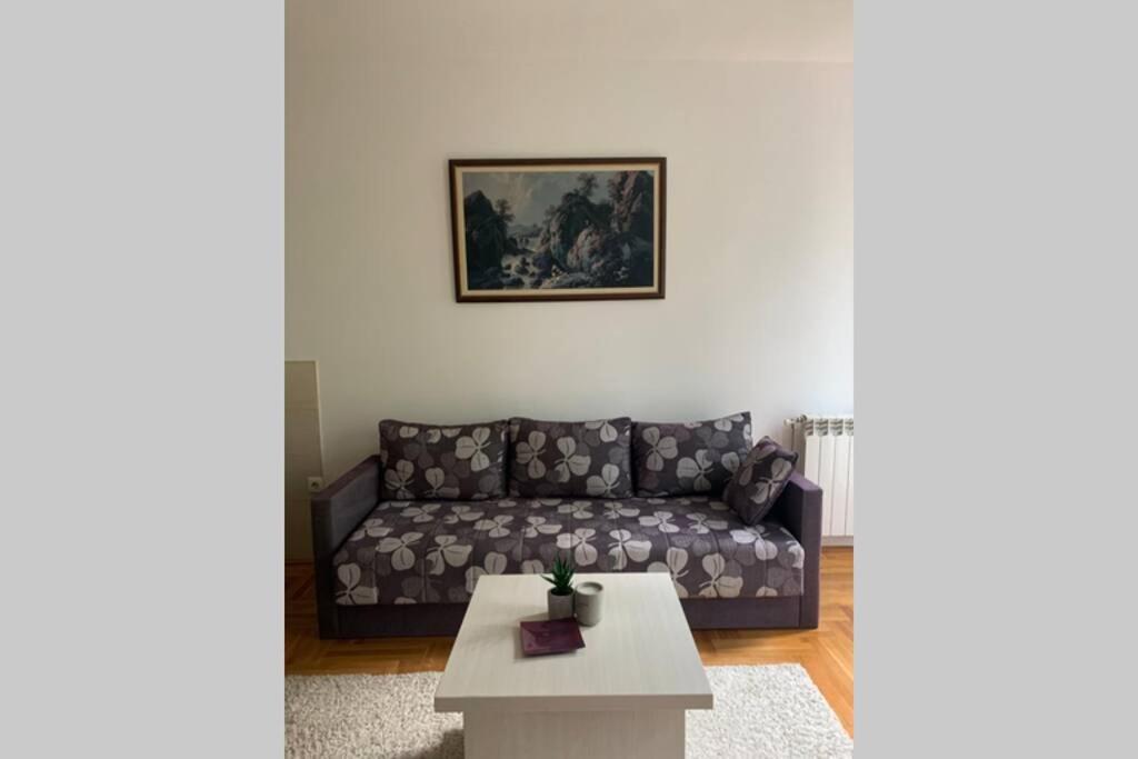 Renovated Cozy Studio 7 At Top Location - Available For Long Term Rentals โนวีซาด ภายนอก รูปภาพ
